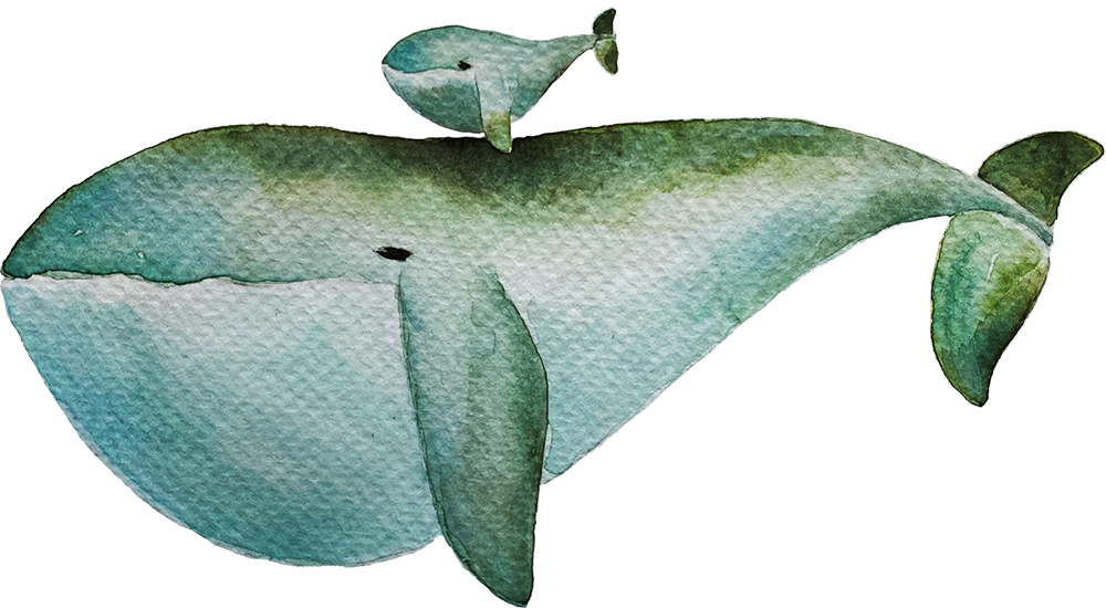 Whaleroad
